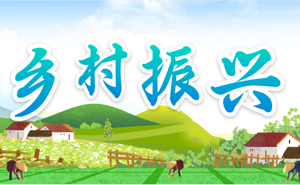乡村振兴专题